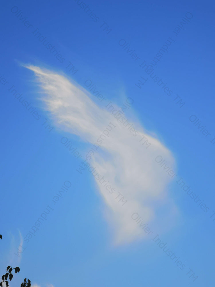 Olivier Industries® You need 2 to Fly- real Angel wing - Huge oversized Tee - Olivier Industries ® Art & Apparel