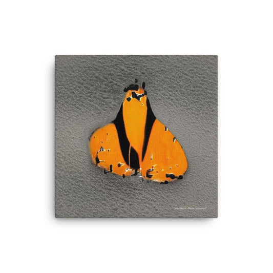 Olivier Industries - moth - art print on canvas - Olivier Industries ® Art & Apparel